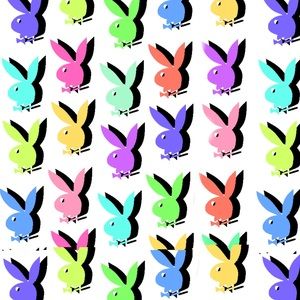 Meet your Posher, Willow